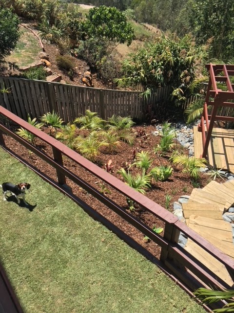 Sloping garden with new planting above a tidy lawn and timber railing