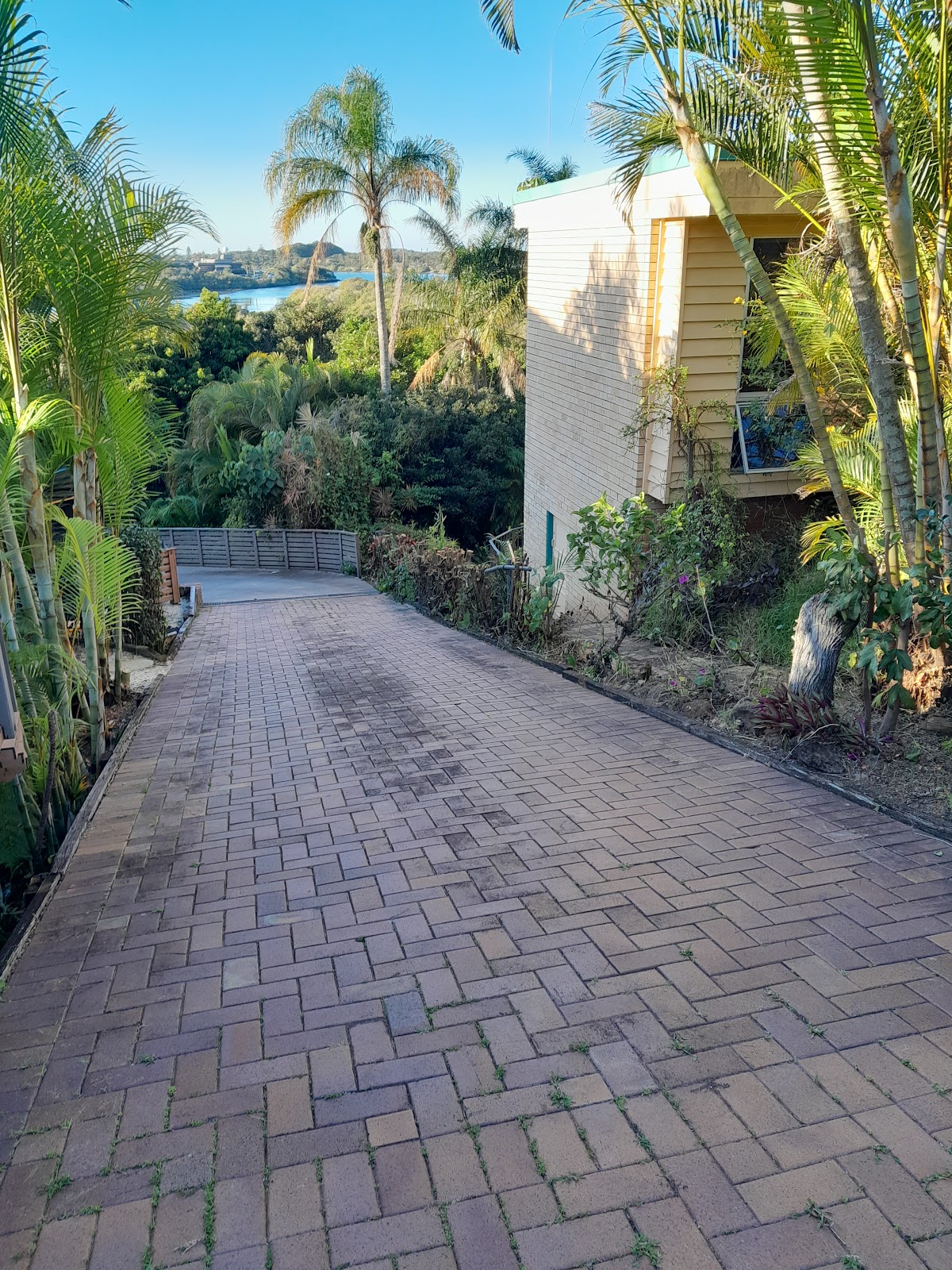 Long herringbone brick driveway lined with palms and neat gardens