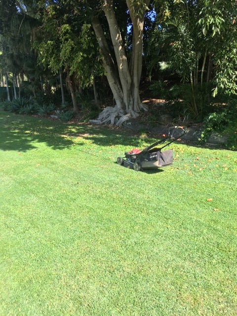 Mowing a big lawn under shady trees
