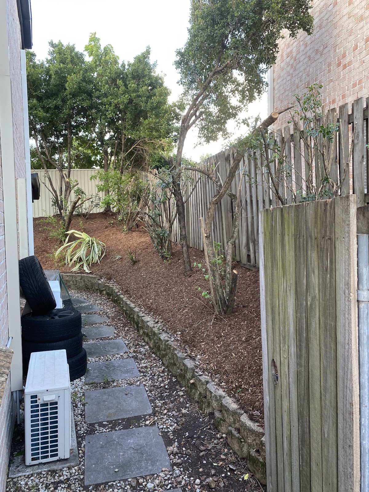 A cleared side path with fresh mulch, new planting and stepping stones
